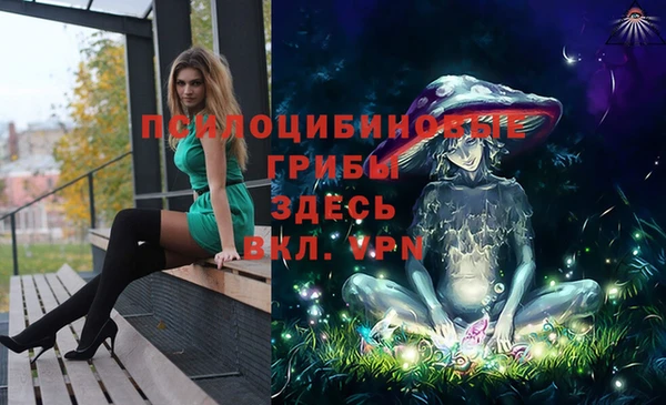 бошки Гусев