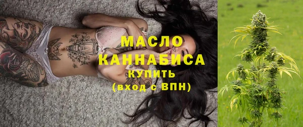 гидра Горно-Алтайск