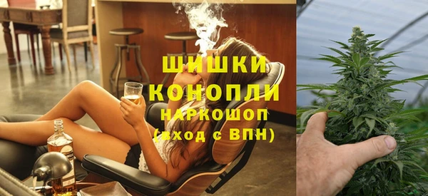 гидра Горно-Алтайск