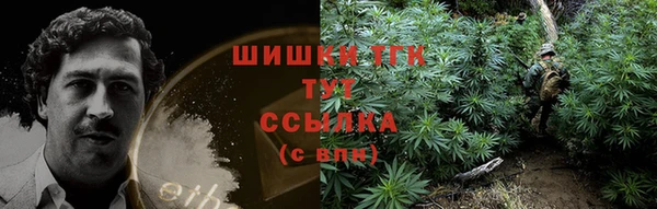 гидра Горно-Алтайск
