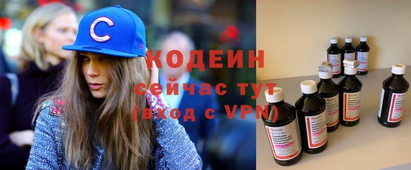 apvp Гусиноозёрск