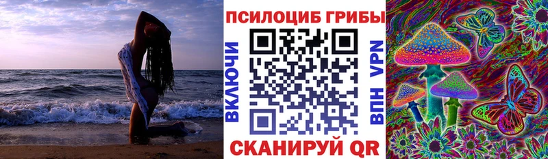 Купить  Красноуфимск  Псилоцибиновые грибы Magic Shrooms 